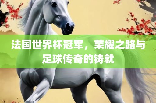 法国世界杯冠军，荣耀之路与足球传奇的铸就