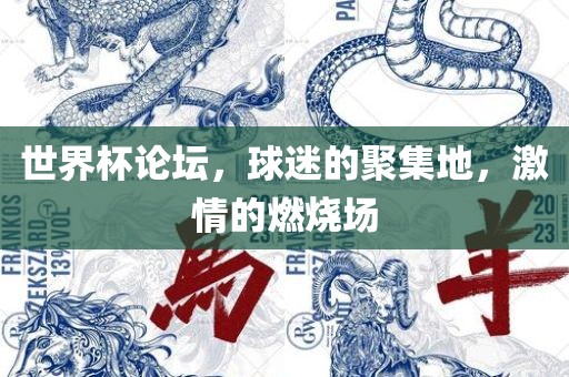 世界杯论坛，球迷的聚集地，激情的燃烧场