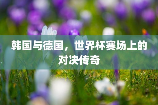 韩国与德国，世界杯赛场上的对决传奇