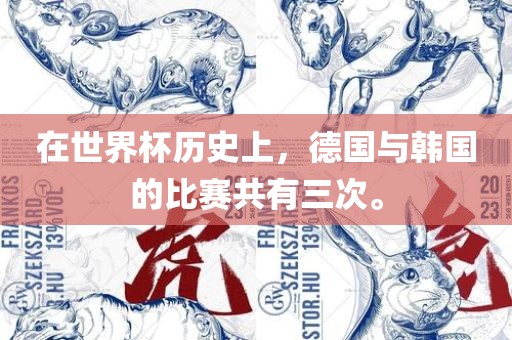在世界杯历史上，德国与韩国的比赛共有三次。