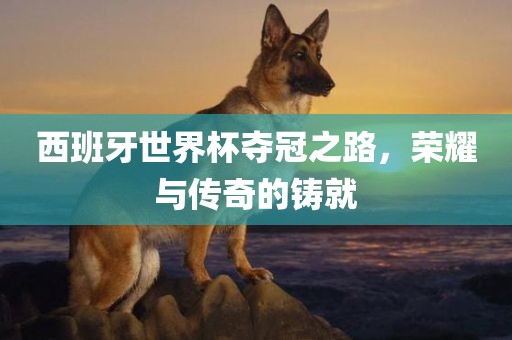 西班牙世界杯夺冠之路，荣耀与传奇的铸就