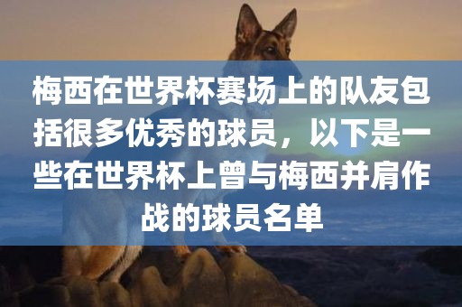 梅西在世界杯赛场上的队友包括很多优秀的球员，以下是一些在世界杯上曾与梅西并肩作战的球员名单
