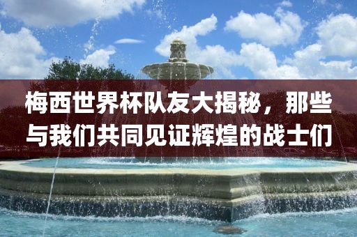 梅西世界杯队友大揭秘，那些与我们共同见证辉煌的战士们