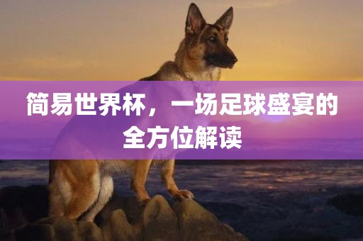 简易世界杯，一场足球盛宴的全方位解读