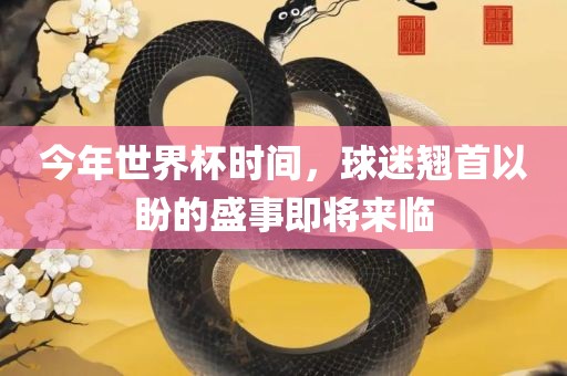 今年世界杯时间，球迷翘首以盼的盛事即将来临