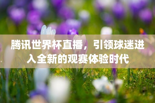 腾讯世界杯直播，引领球迷进入全新的观赛体验时代