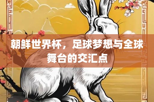 朝鲜世界杯，足球梦想与全球舞台的交汇点
