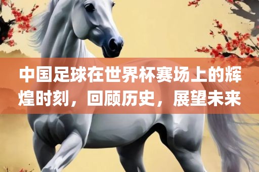 中国足球在世界杯赛场上的辉煌时刻，回顾历史，展望未来