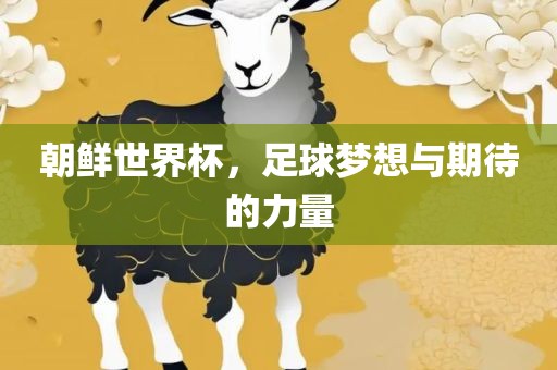 朝鲜世界杯，足球梦想与期待的力量