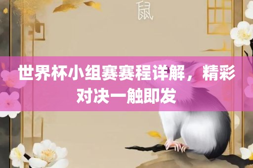 世界杯小组赛赛程详解，精彩对决一触即发