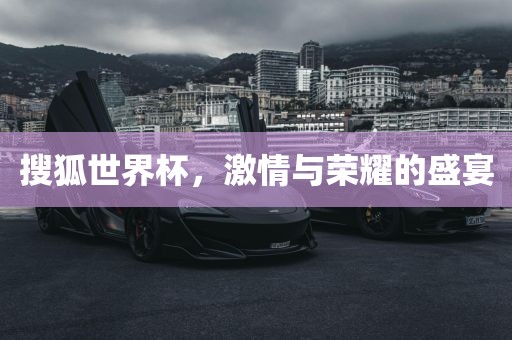 搜狐世界杯，激情与荣耀的盛宴