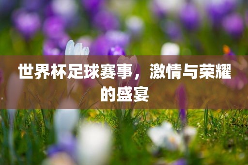 世界杯足球赛事，激情与荣耀的盛宴