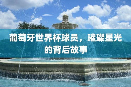 葡萄牙世界杯球员，璀璨星光的背后故事