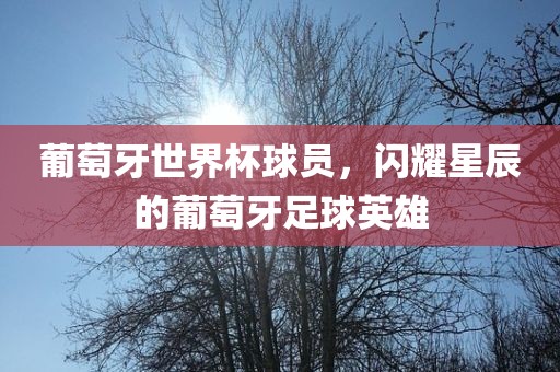 葡萄牙世界杯球员，闪耀星辰的葡萄牙足球英雄