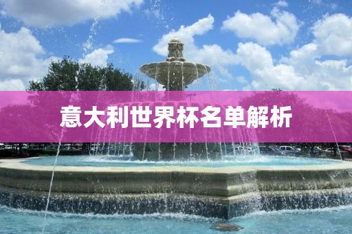 意大利世界杯名单解析