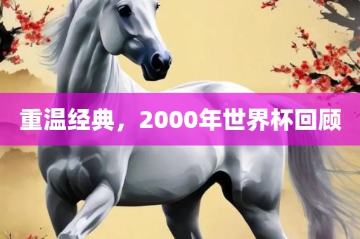 重温经典，2000年世界杯回顾