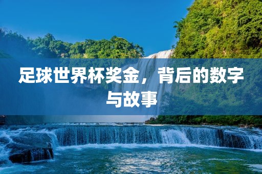 足球世界杯奖金，背后的数字与故事