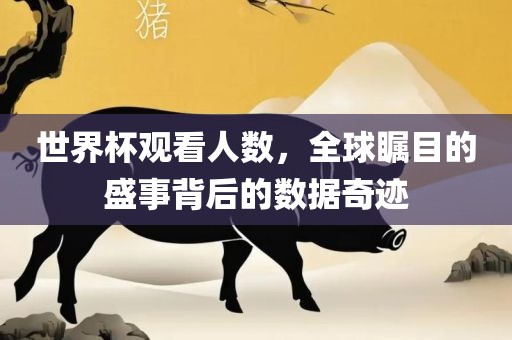 世界杯观看人数，全球瞩目的盛事背后的数据奇迹