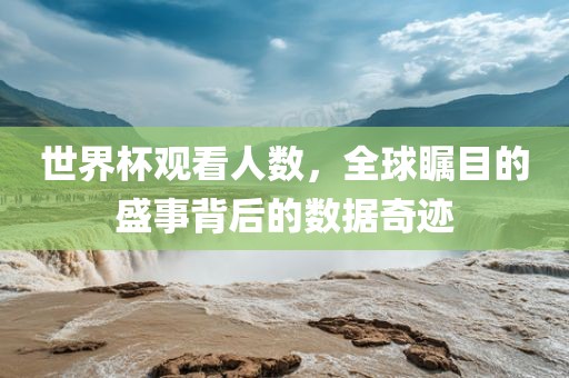 世界杯观看人数，全球瞩目的盛事背后的数据奇迹