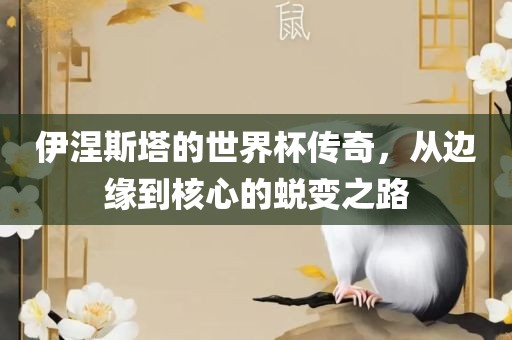 伊涅斯塔的世界杯传奇，从边缘到核心的蜕变之路
