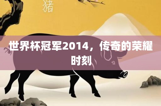 世界杯冠军2014，传奇的荣耀时刻