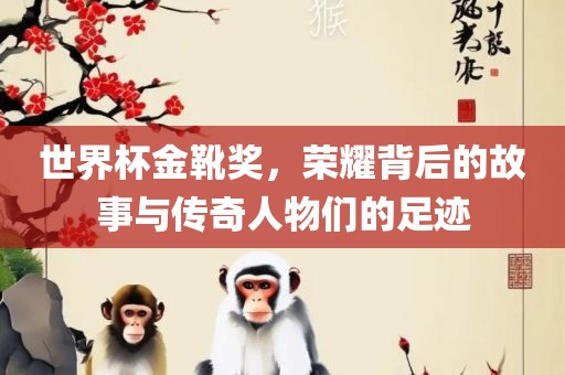 世界杯金靴奖，荣耀背后的故事与传奇人物们的足迹