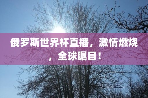 俄罗斯世界杯直播，激情燃烧，全球瞩目！