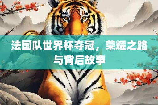 法国队世界杯夺冠，荣耀之路与背后故事