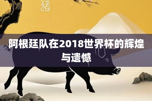 阿根廷队在2018世界杯的辉煌与遗憾