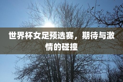 世界杯女足预选赛，期待与激情的碰撞