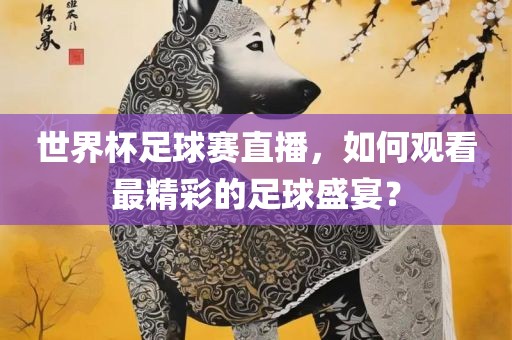 世界杯足球赛直播，如何观看最精彩的足球盛宴？