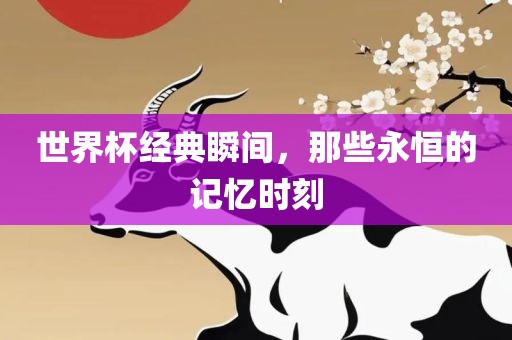 世界杯经典瞬间，那些永恒的记忆时刻