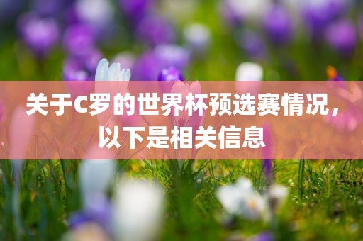 关于C罗的世界杯预选赛情况，以下是相关信息