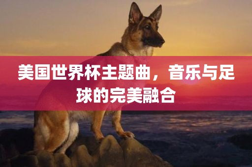 美国世界杯主题曲，音乐与足球的完美融合