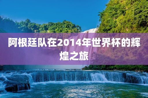 阿根廷队在2014年世界杯的辉煌之旅