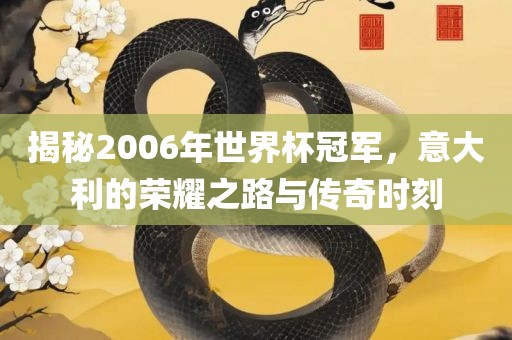 揭秘2006年世界杯冠军，意大利的荣耀之路与传奇时刻