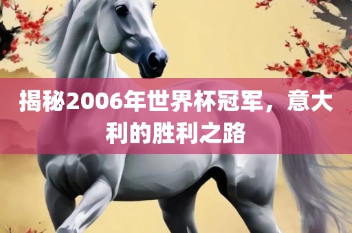 揭秘2006年世界杯冠军，意大利的胜利之路