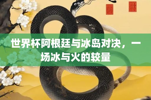 世界杯阿根廷与冰岛对决，一场冰与火的较量