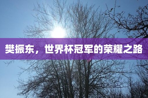 樊振东，世界杯冠军的荣耀之路