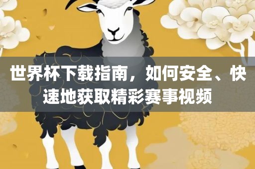 世界杯下载指南，如何安全、快速地获取精彩赛事视频