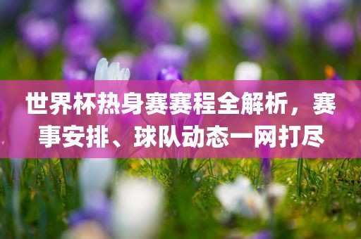 世界杯热身赛赛程全解析，赛事安排、球队动态一网打尽