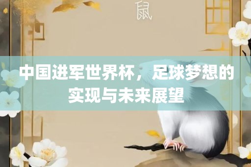中国进军世界杯，足球梦想的实现与未来展望