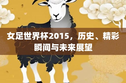 女足世界杯2015，历史、精彩瞬间与未来展望
