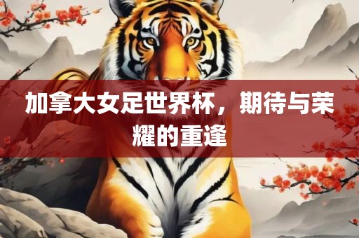 加拿大女足世界杯，期待与荣耀的重逢