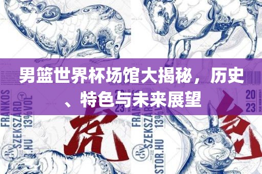 男篮世界杯场馆大揭秘，历史、特色与未来展望