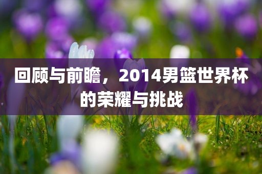 回顾与前瞻，2014男篮世界杯的荣耀与挑战