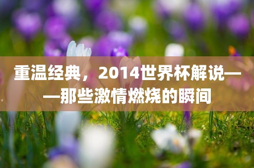 重温经典，2014世界杯解说——那些激情燃烧的瞬间