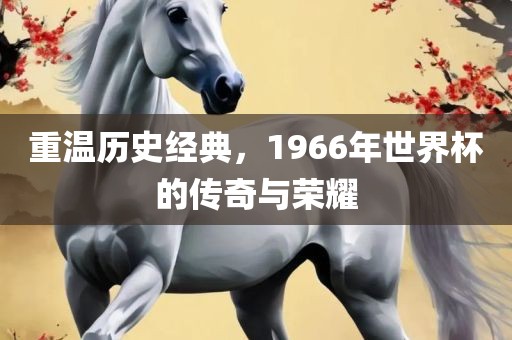 重温历史经典，1966年世界杯的传奇与荣耀