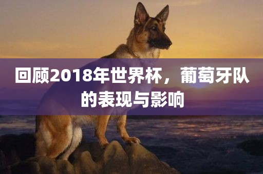 回顾2018年世界杯，葡萄牙队的表现与影响