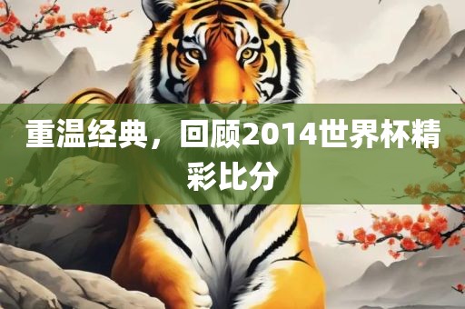 重温经典，回顾2014世界杯精彩比分